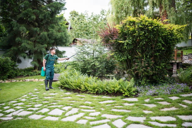 Best Local Pest Control Services  in Village Shires, PA