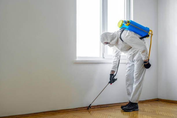 Insect Control in Village Shires, PA