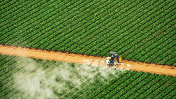 Best Pest Removal Services  in Village Shires, PA