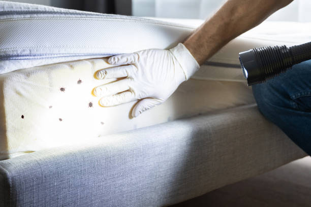 Best Termite Control Services  in Village Shires, PA