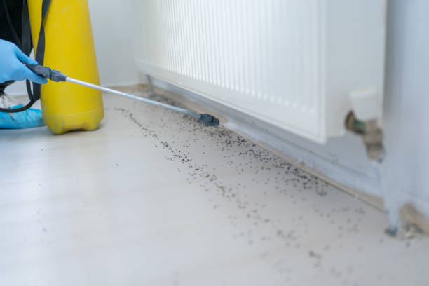 Best Pest Removal Services  in Village Shires, PA