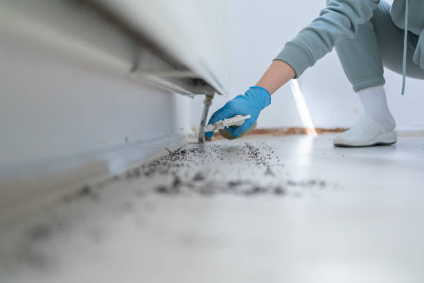 Best Mosquito Control Services  in Village Shires, PA
